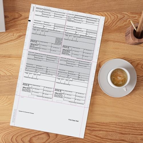 2024 W-2 Tax Forms