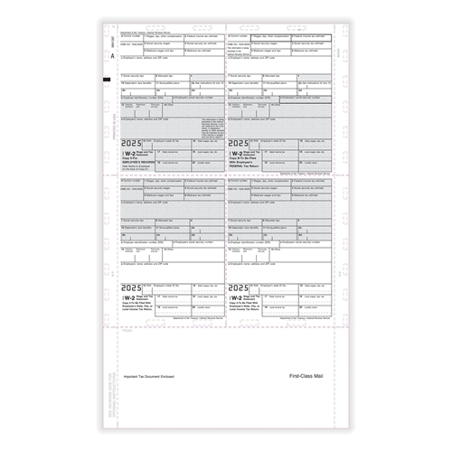 W2 Tax Forms PS1287-1